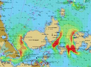 Auckland Currents